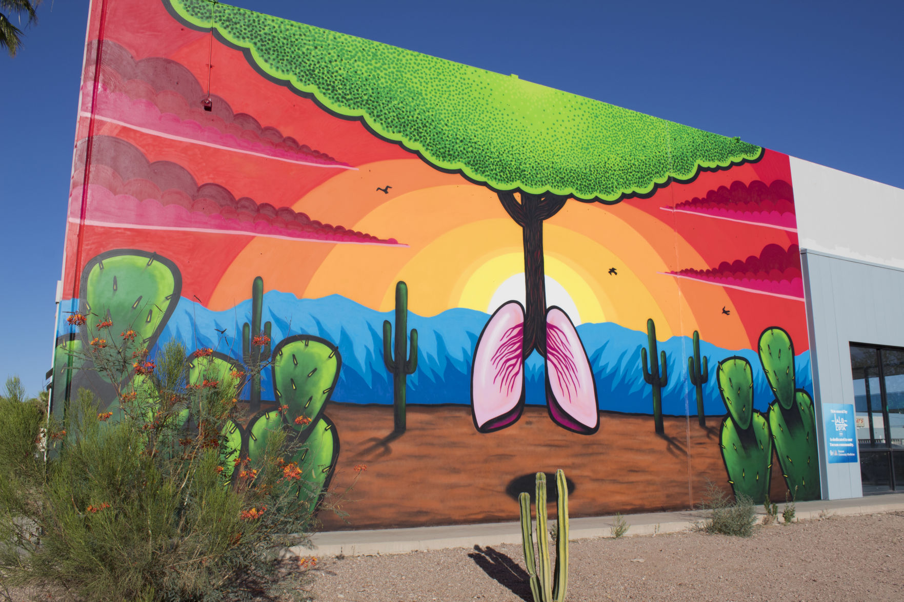 Tucson murals